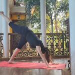 Bhagyashree Instagram – #tuesdaytipswithb

Dynamic movements help in amplifying cardio intensity of your workouts and can become a complete body workout. Animal flow is not just about getting mobility, it also helps in increasing your strength, stamina and heart health.

If you want to learn animal flow then contact @mr.yashpatel at @askknatural

#animalflow #functionaltraining #workout #workoutmotivation #coreworkout #exercise #corestrength #legworkout #workoutmotivation #fitnessmotivation #bestrong #fitness #domorebemore #exercise #muscles #health #flexibility #mobility #strengthtraining