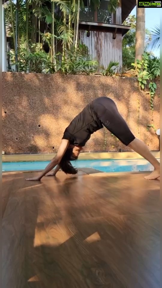 Bhagyashree Instagram - #tuesdaytipswithb Hip mobility can be a challenge due to various factors like age, sedentary lifestyle and even C-section and pregnancy. Scarred tissue often creates problems in mobility if not addressed in time. My C-sections happened a long while ago and I had no knowledge of this years ago. Certain easy asaanas or even a basic squat is a difficulty for me. So when @mr.yashpatel told me to work on hipmobility first.. I was all game. I now do about 3 sets of 10reps each to mobilize those lax muscles. Do try this workout with @askknatural ##animalflow #functionaltraining #workout #hipmobility #mobility #workoutmotivation #exercise #corestrength #workoutmotivation #fitnessmotivation #bestrong #fitness #domorebemore #exercise #muscles #health #flexibility #strengthtraining