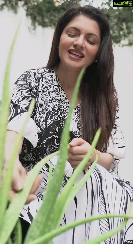 Bhagyashree Instagram - #tuesdaytipswithb Beauty plants! Plants that you must have in your home. Easy to grow n maintain, they have a long list of usage n benefits for hair, skin and even your tummy. #aloevera #aloeveraskincare #aloeveraforhair #skincare #skincaretips #pigmentation #acne #moisturizer #antibacterial #hair #hairsmoothing #softhair #constipation #hometips #homesolutions #beautytips #bebeautiful #tipsforglowingskin #easytips