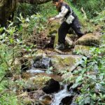 Chandini Chowdary Instagram - Into the wild.