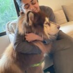 Charmy Kaur Instagram – My soulmate for life ❤️

#alaskanmalamute Mumbai, Maharashtra