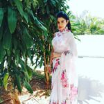 Chaya Singh Instagram - Where ever life plants you bloom with grace🌸🌺🌸 #stylish #saree #blousedesigns #graceful #picoftheday #weekendvibes #fashion #actress