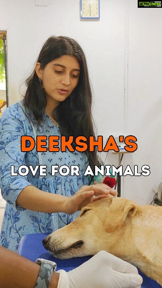Deeksha Joshi Instagram - Look who came to meet our shelter babies!!! It's been a long time since we waited and finally the most gorgeous and kind-hearted @deekshajoshiofficial visited our shelter to adore all our admitted babies. Her bonding with speechless is truly beyond words. Deeksha's shed of happiness will be a boon for homeless animals in need❤️ #visit #animalshelter #love #deekshajoshi #movies #gujarat #gujarati #actress #bollywood #songs #heroine #cinema #theatre #drama