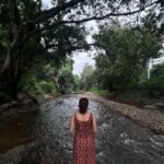 Deepa Thomas Instagram - Rather than love, than money, than faith, than fame, than fairness... give me the truth. Save Mother Earth