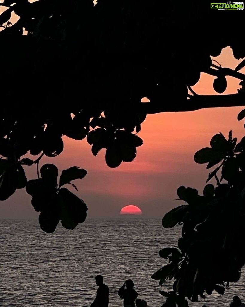 Deepa Thomas Instagram - Sunset