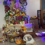 Devoleena Bhattacharjee Instagram - Ganpati Bappa Morya ❤️🥰🧿🙏🏻 Thank you Bappa 🤗 #ganeshchaturthi #blessed #gratitude Mumbai - मुंबई
