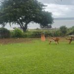 Dhanya Balakrishna Instagram - ❤️ 🍃 🌧️ ☔️ #mood #monsoon #kabini @evolvebackkabini @evolvebackresorts