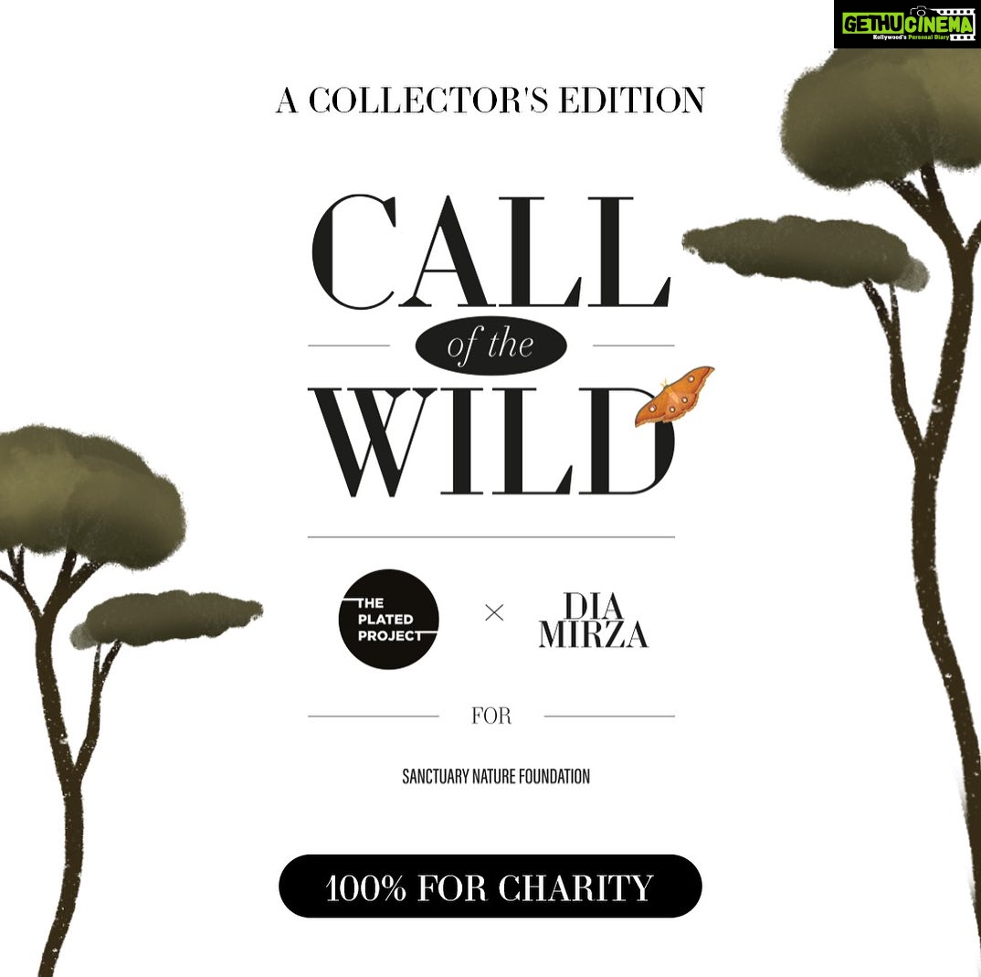 Dia Mirza Instagram - "The purpose of art is to re-present nature, not represent it." Josef Albers The 'Call of the Wild' series does exactly that. It reminds us why nature is so magical and so worthy of being celebrated every single day. Savour this soulful collaboration between The Plated Project (@theplatedproject), Sanctuary Nature Foundation (@sanctuaryasia), and yours truly and enabled by Exceed Entertainment (@exceedentertainment). I couldn't be prouder or happier to share it with you 🙃 Immerse yourself in 10 stunning pieces of art envisioning the harmonious co-existence of humanity and nature. Created by 7 exceptional Indian artists, these 50 limited-edition pieces are one-of-a-kind and all proceeds they generate will go towards nurturing our planet via the Sanctuary Nature Foundation 🌏🐯💙 A huge shoutout to Chitresh Sinha @chitreshsinha83 , the CEO and Founder of The Plated Project, and Bittu Sahgal, the Founder of Sanctuary Nature Foundation, for their collaborative vision that shaped this venture; and @afsarzaidi, the Founder and Enabler at Exceed Entertainment (@exceedentertainment) for facilitating this project. Explore the 'Call of the Wild' collection at www.theplatedproject (@theplatedproject) and make these little treasures a part of your world. Big shout out to the artists who've joined us in this cause @svabhukohli @studioganta @doodle_dabba @tanyatimble @harshnamdeo_ @somehipstername @shreyasea 🙏🏻🙏🏻 #newlaunch #theplatedproject #callofthewild #launch #collab #artagainsthunger #wild #diamirza #sanctuaryasia #newcollection #embracingnature @bittusahgal @carapiranha @miss_butterfingers @shruti8711 🐯 Videography and Photography: @ikshitpatel Makeup: @shraddhamishra8 Hairstylist: @tejisinghofficial