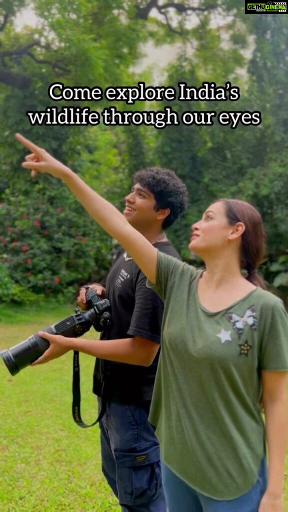 Dia Mirza Instagram - Here are some moments from the wild that my friend @birds_of_india_ and I have witnessed over the years travelling across India’s national parks and ecosystems 💚🌳🐯🌏 Species in order of appearance 🙃 Indian Paradise Flycatcher, Oriental Dwarf Kingfisher, Bengal Tiger, Indian Leopard, Melanistic Leopard aka Black Panther, Eurasian Wryneck, Asiatic Elephant, Hard Ground Barasingha, Brown Headed Barbet, Indian silverbill, Asiatic Lion, Khaleej Pheasant, Brahminy Starling, Spotted Deer Credits Image 1,3,6,7,8,10,12,15,17 : by Dia @diamirzaofficial Image 2,4,5,9,11,13,14,16 : by Aman @birds_of_india_ #NaturePhotography #ForNature #ForPeopleForPlanet #WildLife #GlobalGoals #SDGs #ReelItFeelIt #Birds #NatureLove #NaturePhotographer #WildLifePhotography #IAmNature #Outdoor #OutdoorLiving