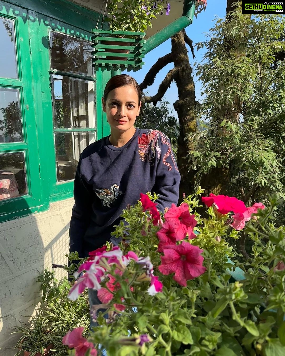 Dia Mirza Instagram - “You’re only here for a short visit. Don’t hurry, don’t worry. And be sure to smell the flowers along the way.” -Walter Hagen #WednesdayWisdom #Throwback #ForNature #SunsetKeDivane Thank you @womanistankidukan @womanistan @teebirdyfly for this gorgeous hand embroidered sweatshirt 🙏🏻🕊️ Landour, Mussoorie