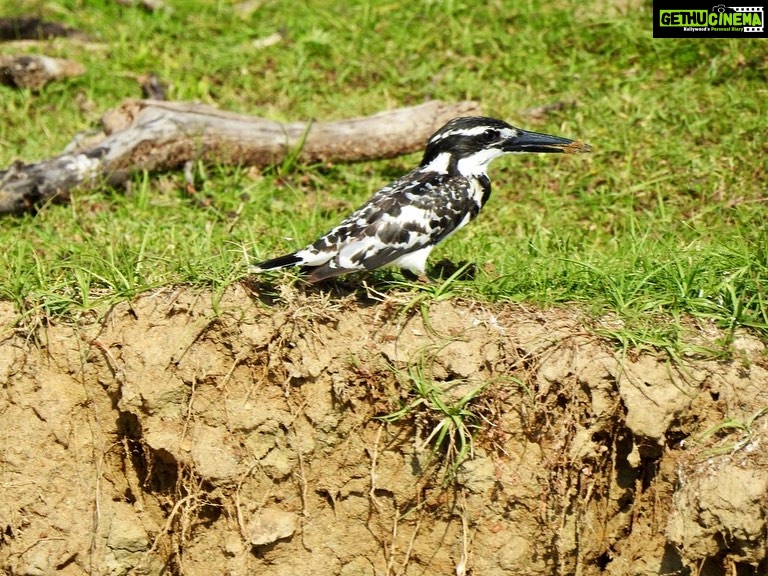 Dia Mirza Instagram - Such a great source of happiness being able to photograph nature and #Birds in the wild ππ Happy #WorldPhotographyDay2023 Share your favourite photos of nature with me please ππ» I will share my favourites to stories! Letβs share the love β¨π³