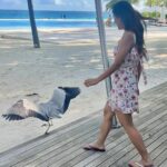 Donal Bisht Instagram - Once upon a time in Maldives 😍🦩 . . . . . . . . . . . . . . . . . . . . . . . . . . . . . #girl #wonderland #diva #hot #explore #donalbisht #elegence #instagood #instamood #goodvibes #happy #location #pictureoftheday #best #beautiful #dress #love #pink #instagram #instamood #instalike #blessed #actor #stairs #lifestyle #beauty #glam #beautiful #looks #photoshoot #morning