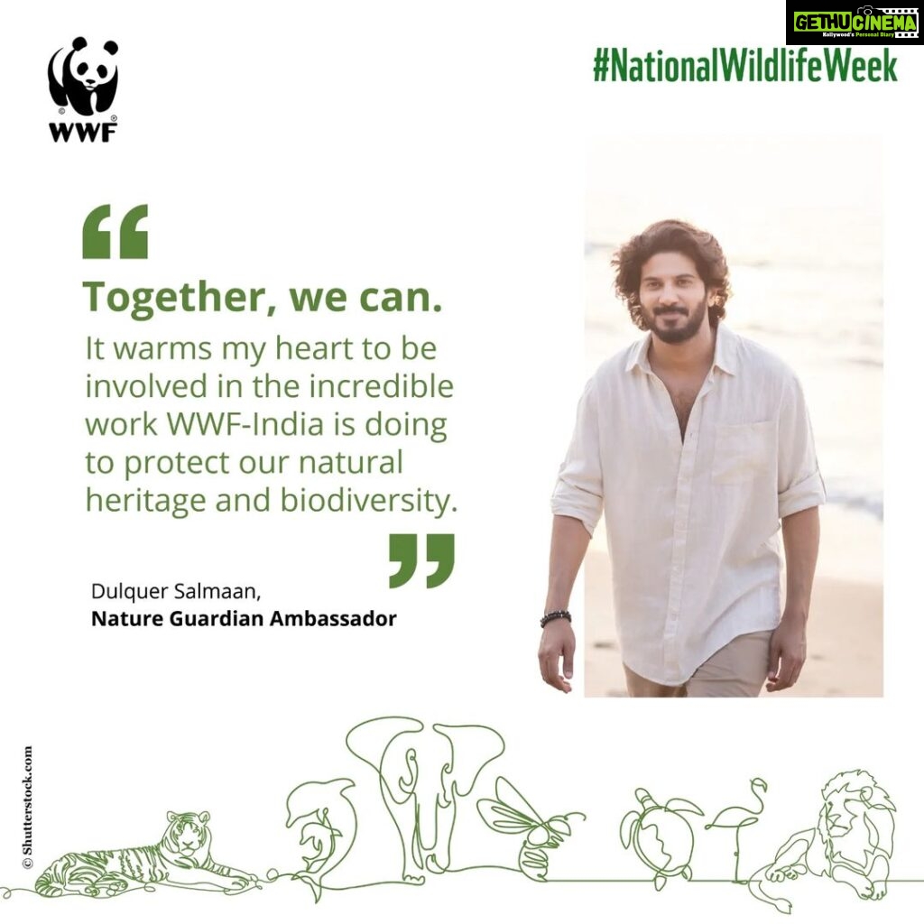 Dulquer Salmaan Instagram - WWF-India Nature Guardian Ambassador Dulquer Salmaan is joining our #NationalWildlifeWeek celebrations with a heartfelt message. We chatted with the actor to get a glimpse of his wildlife #adventures and wish-list. Swipe to know which #animal he would love to voice in a #movie. #DulquerSalmaan #wildlife #actor #wwfindia #wwf