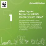 Dulquer Salmaan Instagram – WWF-India Nature Guardian Ambassador Dulquer Salmaan is joining our #NationalWildlifeWeek celebrations with a heartfelt message. We chatted with the actor to get a glimpse of his wildlife #adventures and wish-list. Swipe to know which #animal he would love to voice in a #movie.

#DulquerSalmaan #wildlife #actor #wwfindia #wwf