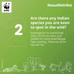 Dulquer Salmaan Instagram - WWF-India Nature Guardian Ambassador Dulquer Salmaan is joining our #NationalWildlifeWeek celebrations with a heartfelt message. We chatted with the actor to get a glimpse of his wildlife #adventures and wish-list. Swipe to know which #animal he would love to voice in a #movie. #DulquerSalmaan #wildlife #actor #wwfindia #wwf