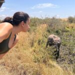 Elena Roxana Maria Fernandes Instagram - Going deep into the Masai Mara en route to #tipilikwanimaracamp hosted by @atua_enkopafrica @atua_enkopafrica As we travel to camp you’re literally in the wild, surrounded by elephants and of course some lions hiding. Right now is peak season due to the great migration where 1.5million wilder beasts and zebras make the crossing from Tanzania into Kenya #masaimara #elephants #wildlifesafaripark #tipilikwanicamp #atuaenkopafrica #atuaenkopluxurycamp #nature #wildlife Masai Mara, Kenya
