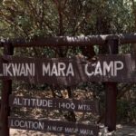 Elena Roxana Maria Fernandes Instagram - Going deep into the Masai Mara en route to #tipilikwanimaracamp hosted by @atua_enkopafrica @atua_enkopafrica As we travel to camp you’re literally in the wild, surrounded by elephants and of course some lions hiding. Right now is peak season due to the great migration where 1.5million wilder beasts and zebras make the crossing from Tanzania into Kenya #masaimara #elephants #wildlifesafaripark #tipilikwanicamp #atuaenkopafrica #atuaenkopluxurycamp #nature #wildlife Masai Mara, Kenya