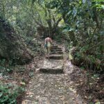 Esha Gupta Instagram - Beauty of Sintra Sintra, Portugal