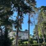 Esha Gupta Instagram – Queen of my castle Portugal