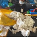 Falguni Rajani Instagram - . . @saahas_ngo #reduce #papertissues #zerowaste #savetrees #savetheplanet #savesoil