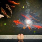 Fatima Sana Shaikh Instagram - This stay couldn’t have been more perfect. Thank you @airbnb for partnering with me. The house was stunning, it was quiet and calm. I had no idea I could be so obsessed with a pond full of fish. And more than any thing else I met people I could call friends for life. The hosts of the house, Sucheta and Hans are probably the most generous and kindest souls I have ever met. I could hear their stories about their lives for hours. I feel blessed to have met them and their family. They have welcomed us with such heart. @summertimevillagoa Goa India