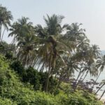 Fenil Umrigar Instagram - Tranquility, peace and happiness🌴🌊 📍: @obrigadobycraftels Obrigado Goa