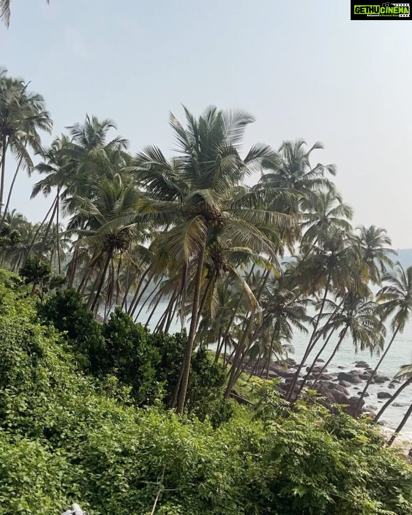 Fenil Umrigar Instagram - Tranquility, peace and happiness🌴🌊 📍: @obrigadobycraftels Obrigado Goa