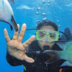 Hari Teja Instagram - Scuba Diving at Great Barrier Reef ✅ I never thought I will do Scuba diving in my life as I was always afraid of deep waters. But what I did today overcome all those fears. With you @nithya_hari on my side , I did it. Spotted a whale, which was unexpected but amazing. ♥️ Great Barrier Reef Australia
