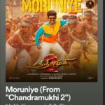 Harika Narayan Instagram - 25-08-2023 : A date to remember and to treasure all my blessings❤️ For the first time in my career, I had 3 movie song releases on the same day. 1. Arjuna title track (Telugu) from Gandeevadhari Arjuna by Mickey J. Meyer Sir 2. Moruniye (Tamil) from Chandramukhi 2 by MM Keeravaani Sir 3. Vennello Aadapilla (Telugu) from Bedurulanka in theatres by Manisharma Sir 3 major projects, 3 of my favourite Music composers, 2 different Indian languages. And just not that, I have recorded 3 other songs in this week, finished the rehearsals and workshop schedules of Ichipaad tour, ticked off a photoshoot session, had couple of business meetings and for the first ever time, tried writing a song of my own and wrapped it up. It’s a whole different story and we shall talk about it soon♥️ I am super proud of that little teenage self who didn’t give up on her passion and building up her dreams because of the inferiority and under confidence she went through. For all the challenges she faced, all the choices she made and all the lessons she has been learning in hard way, you go girl♥️ Living the dream♥️🧿 . . . . #grateful #blessings #musician #happiness #livingthedream #highonlife #playbacksinger #ilovemyjob #onlylove