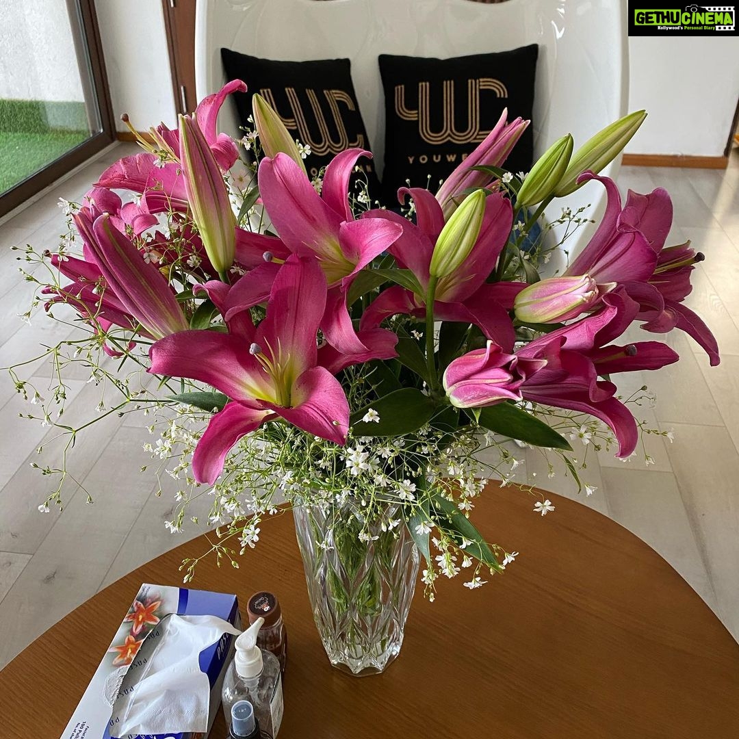 Hazel Keech Instagram - My beautiful husband- no matter where he is in the world, who he has to call or how he does it, without fail, he manages to buy me the most beautiful lilies each Anniversary. He knows they’re my favourite... and the more they bloom the more I feel grateful to feel loved by this beautiful man. 4 years later and we’re getting better each year. I adore you @yuvisofficial. Happy anniversary my love ❤️❤️❤️❤️❤️❤️❤️❤️❤️❤️❤️❤️❤️