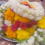 Ishika Singh Instagram – I never thought in my life that one day I will make this flower bouquet 💐 called bathukama … today me and my daughter enjoyed making this flower 🌸 bouquet 💐 n celebrating it in her school 🏫 happy bathukama to u all 😍 #bathukamacelebrations #bathukama #bathukammacelebrations #bathukamafestival #flowerpower #flowerlovers #flowerarrangement #flowerart
