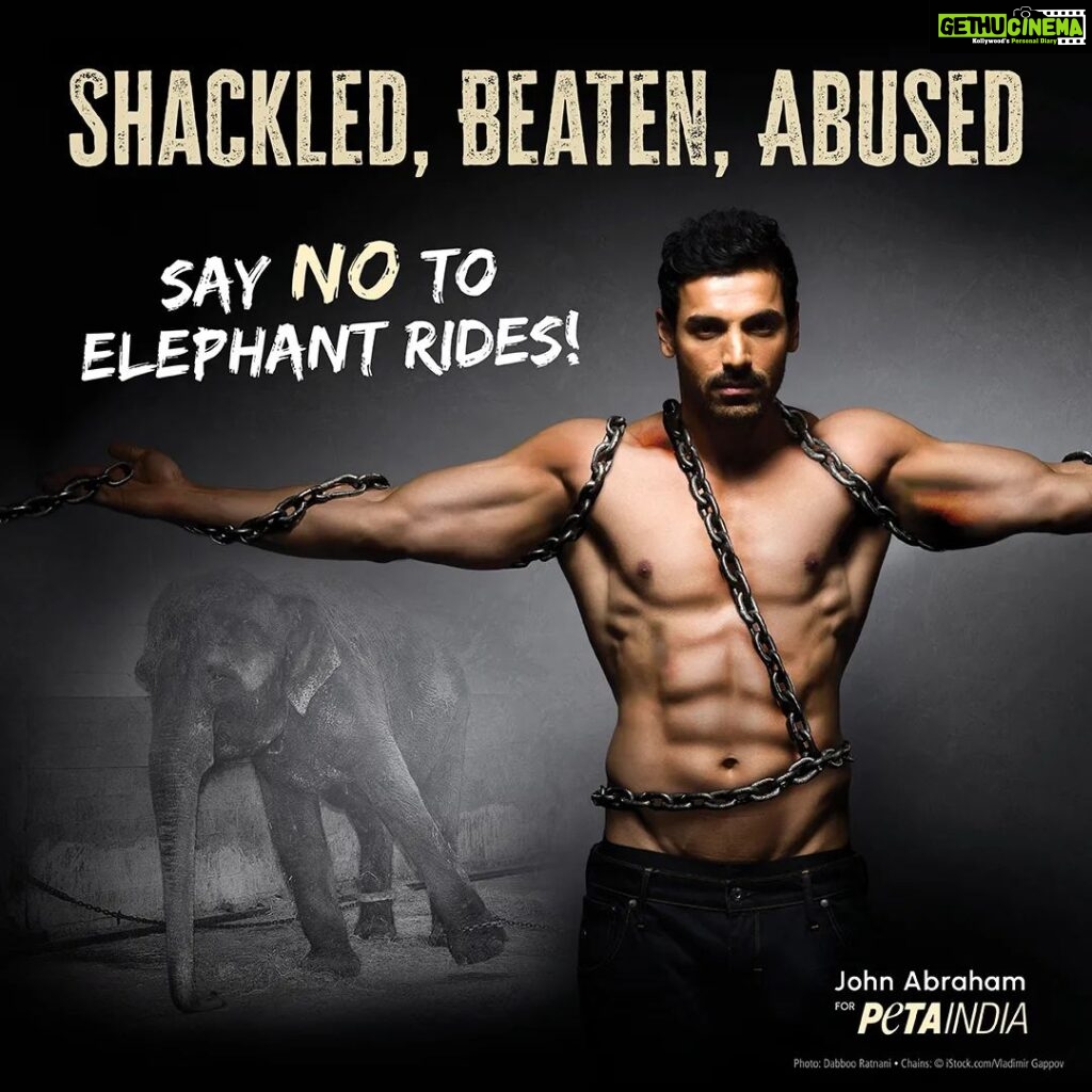 John Abraham Instagram - “Working in entertainment should involve consent and be a joy, but elephants who are forced into this industry are taken from their families, beaten, shackled, and abused,” - @thejohnabraham. Join us in our appeal to end the use of elephants for rides, sign the petition now, in the lead up to #WorldElephantDay. (Tap the link in our bio). Thank you, @dabbooratnani ❤️❤️.