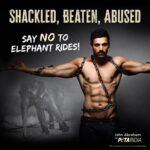 John Abraham Instagram – “Working in entertainment should involve consent and be a joy, but elephants who are forced into this industry are taken from their families, beaten, shackled, and abused,” – @thejohnabraham.

Join us in our appeal to end the use of elephants for rides, sign the petition now, in the lead up to #WorldElephantDay. 
(Tap the link in our bio).

Thank you, @dabbooratnani ❤️❤️.