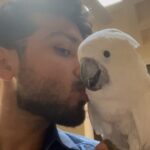Kalidas Jayaram Instagram – KITTU Chennai, India