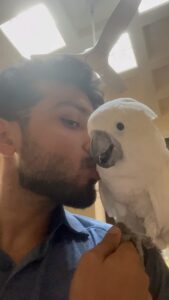 Kalidas Jayaram Instagram - KITTU