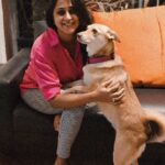 Kaniha Instagram - My constant source of love,happiness et a lot more. Unconditional love is what I get !! ❤️ #petlovers #doglover #indie #indiedog #adoptdontshop #maggie
