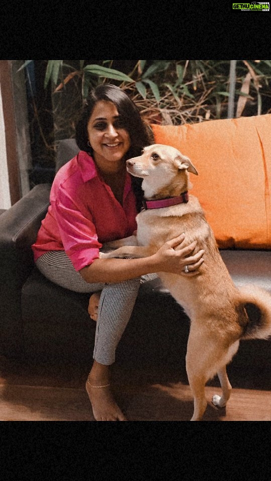 Kaniha Instagram - My constant source of love,happiness et a lot more. Unconditional love is what I get !! ❤ #petlovers #doglover #indie #indiedog #adoptdontshop #maggie