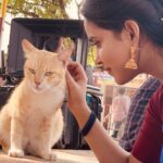 Kanmani Manoharan Instagram - Cats choose us; we don't own them.” – Kristin Cast. #kanmanimanoharan✨