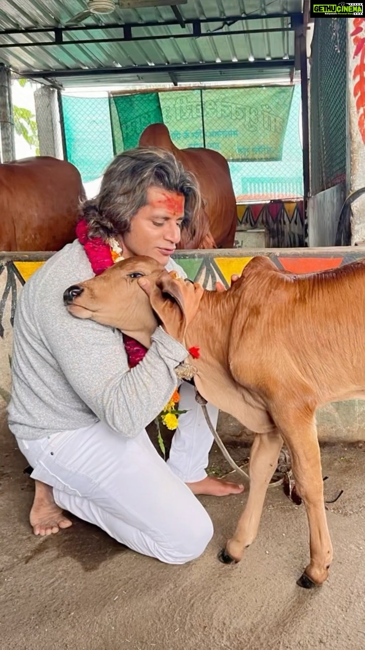 Karanvir Bohra Instagram - I lost my heart to her β€οΈππΌπ± No better seva then #gauseva #jaishrikrishna #jaisriram