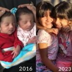 Karanvir Bohra Instagram – A very sweet girl who’s been following our children’s page since they were born made this edit. As parents, we were kind of thrown.. and we cried.. 😭 Our sweet firstborns are turning 7 next month! How did this happen so fast? They were just born! 

No matter what masti they’ve done, however difficult the journey has been sometimes, this photo reminds me that children are SO worth it! ❤ 

It doesn’t matter to the world (or to God) how much money or properties we accumulate. It’s all temporary –  our children are forever.. they are a forever kind of joy, the kind we take with us, even after this life is over. They are our legacy. ❤❤ @twinbabydiaries 

PS: Thank you for this @vienna__love!