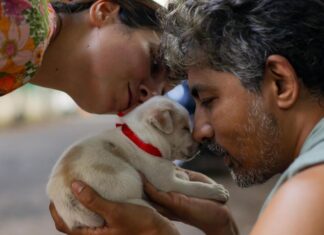 Karthik Kumar Instagram - DM @amruthasrini for adopting these magic bundles 🎈❤️ #Chennai #adoptdontshop #puppylove