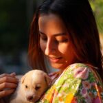 Karthik Kumar Instagram - DM @amruthasrini for adopting these magic bundles 🎈❤️ #Chennai #adoptdontshop #puppylove