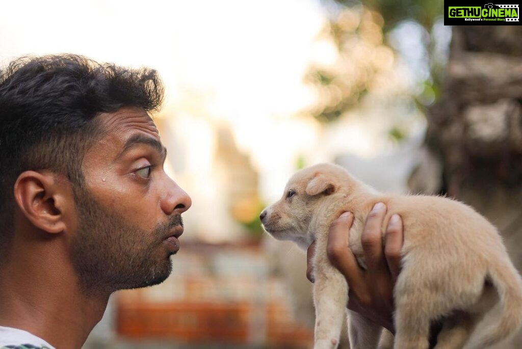 Karthik Kumar Instagram - DM @amruthasrini for adopting these magic bundles 🎈❤️ #Chennai #adoptdontshop #puppylove