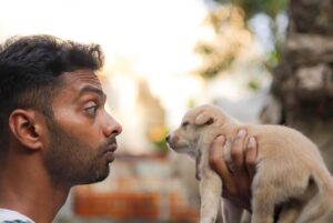 Karthik Kumar Instagram - DM @amruthasrini for adopting these magic bundles 🎈❤️ #Chennai #adoptdontshop #puppylove