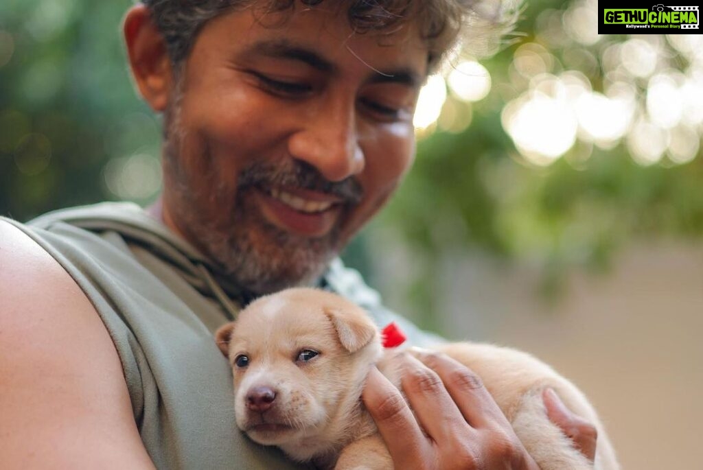 Karthik Kumar Instagram - DM @amruthasrini for adopting these magic bundles 🎈❤ #Chennai #adoptdontshop #puppylove