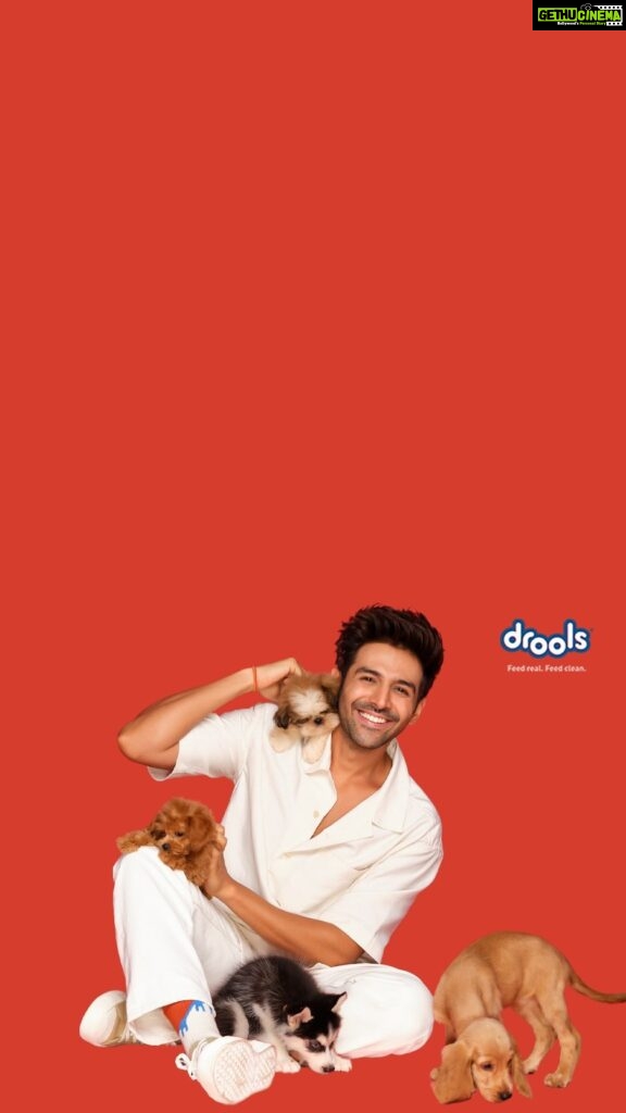 Kartik Aaryan Instagram - Feeling Pawsome 🐾 to be the Face of @droolsindia This one is for you @katoriaaryan 👼🏻