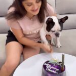 Karunya Ram Instagram – 2yrs for my Dheera Magu🫶🏼❤️🐶🧿🍭
:
:
:
#karunya #dheera #petlover #cute #karunyaram #milkybeautykarunyaram #actress #celebritydog #celebritypets #frenchbulldog Bangalore, India