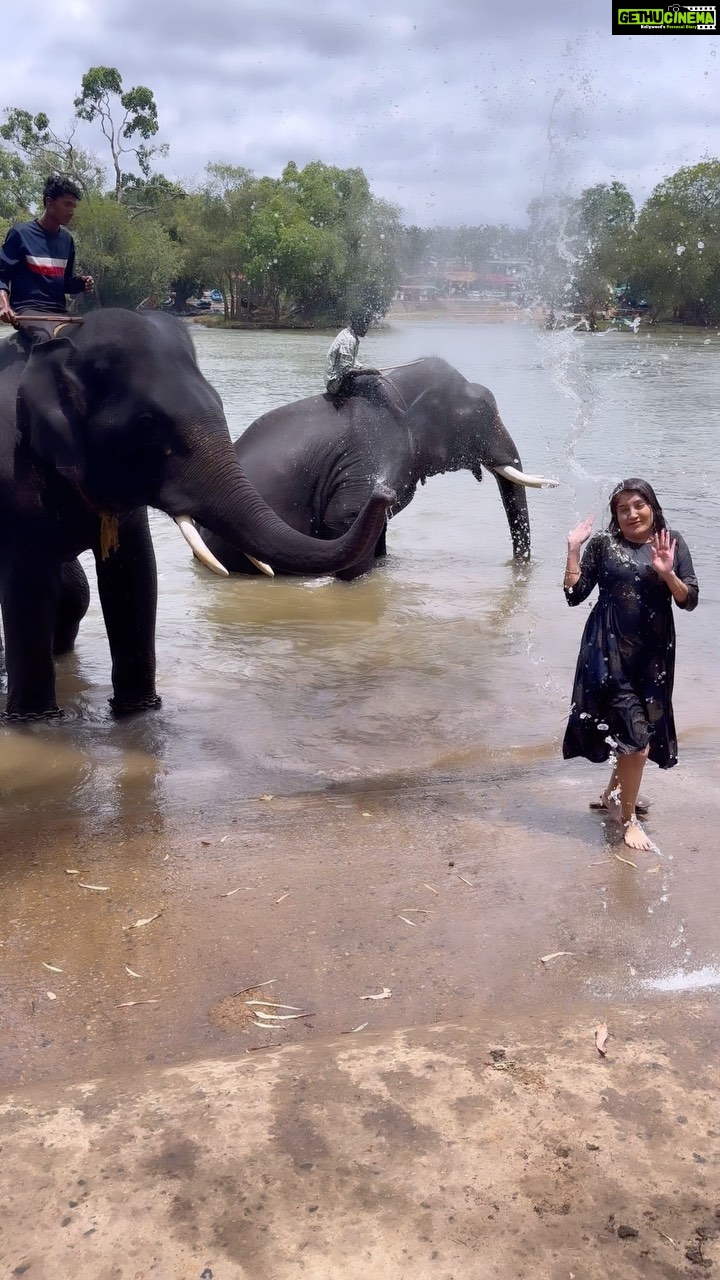 Karunya Ram Instagram - Some moments are beautiful ❤️🐘 : : Dubare Elephant Camp : : #karunyaram #elephant #dubareelephantcamp🐘🐘 #dubare #animallover #wildlife #wildanimals #wildnature #trendingreels #viralvideos #viral #milkybeautykarunyaram #cutevideos #elephantlove Dubare - Elephant Camp