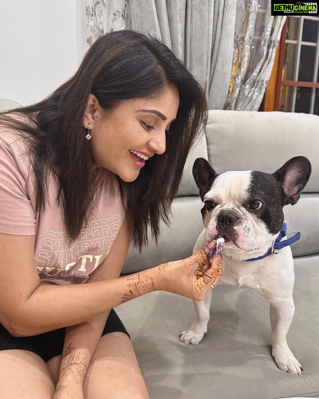 Karunya Ram Instagram - Happiest Bβday to u DHEERA Magu ππππβ€οΈπΆπ§Ώπππu turned 2 today loads of memories together wish u good health π€ : : #petstagram #bestpet #cutedogs #celebritydog #frenchbulldog #dheera #frenchbulldog #naughtylittleboy #canineclubofcubbonpark #cannineclubofbangalore Bangalore, India