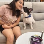 Karunya Ram Instagram – Happiest B’day to u DHEERA Magu 🎂💜💙💗❤️🐶🧿🍭🎉💐u turned 2 today loads of memories together wish u good health 🤗
:
:
#petstagram #bestpet #cutedogs #celebritydog #frenchbulldog #dheera #frenchbulldog #naughtylittleboy #canineclubofcubbonpark #cannineclubofbangalore Bangalore, India